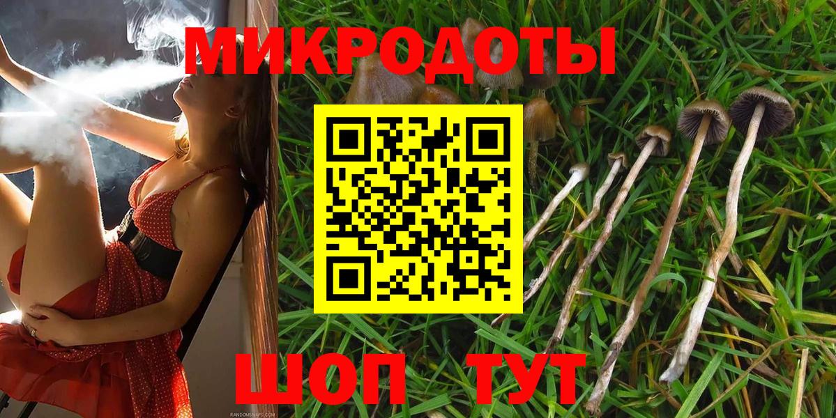 Псилоцибиновые грибы Psilocybine cubensis  Вход с VPN  Галлюциногенные грибы мухоморы  Петрозаводск 