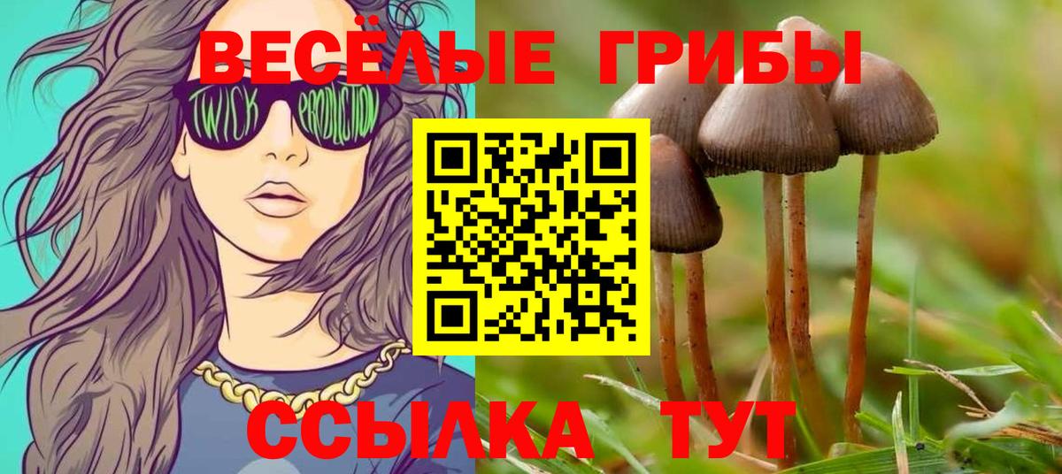 Псилоцибиновые грибы MAGIC MUSHROOMS Петрозаводск